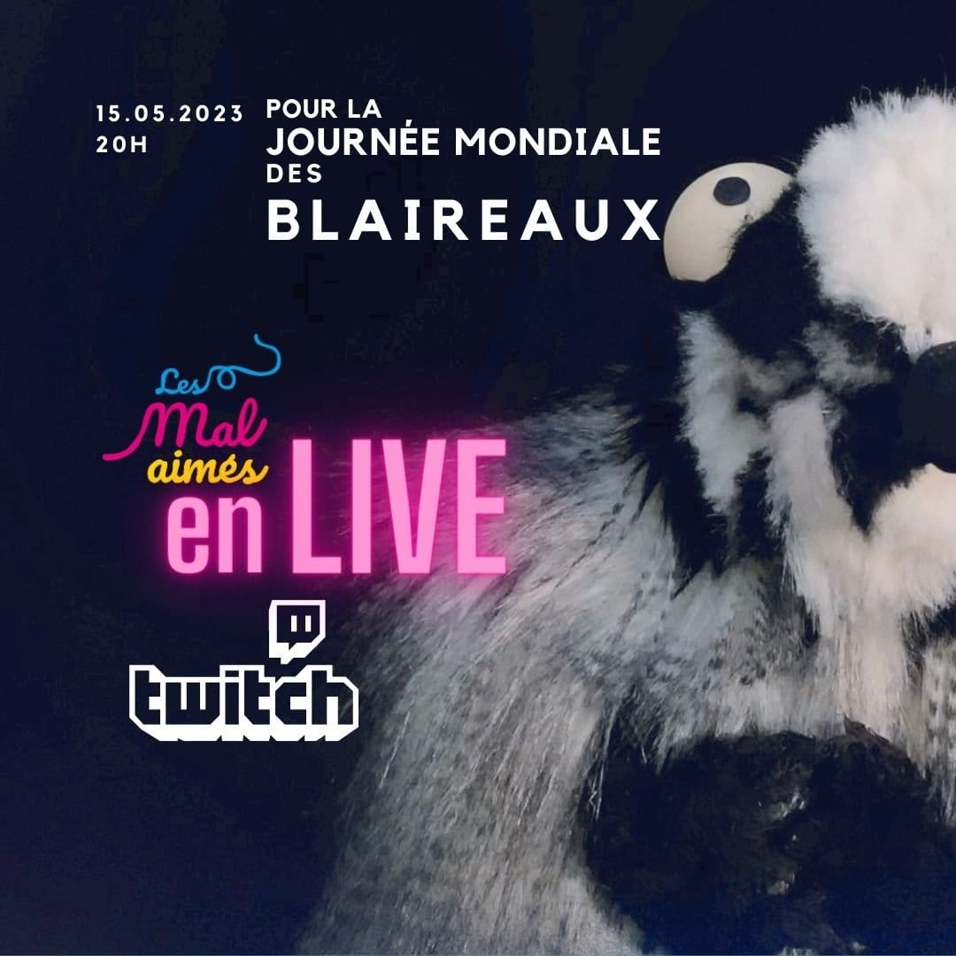 Comment une blairelle devient une star du cinéma - Journée Mondiale du Blaireau le 15 mai !