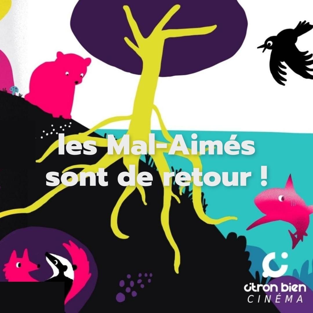 Un Aperçu Exclusif : Roquette & les Mal-Aimés - Notre Nouveau Programme Dévoilé !